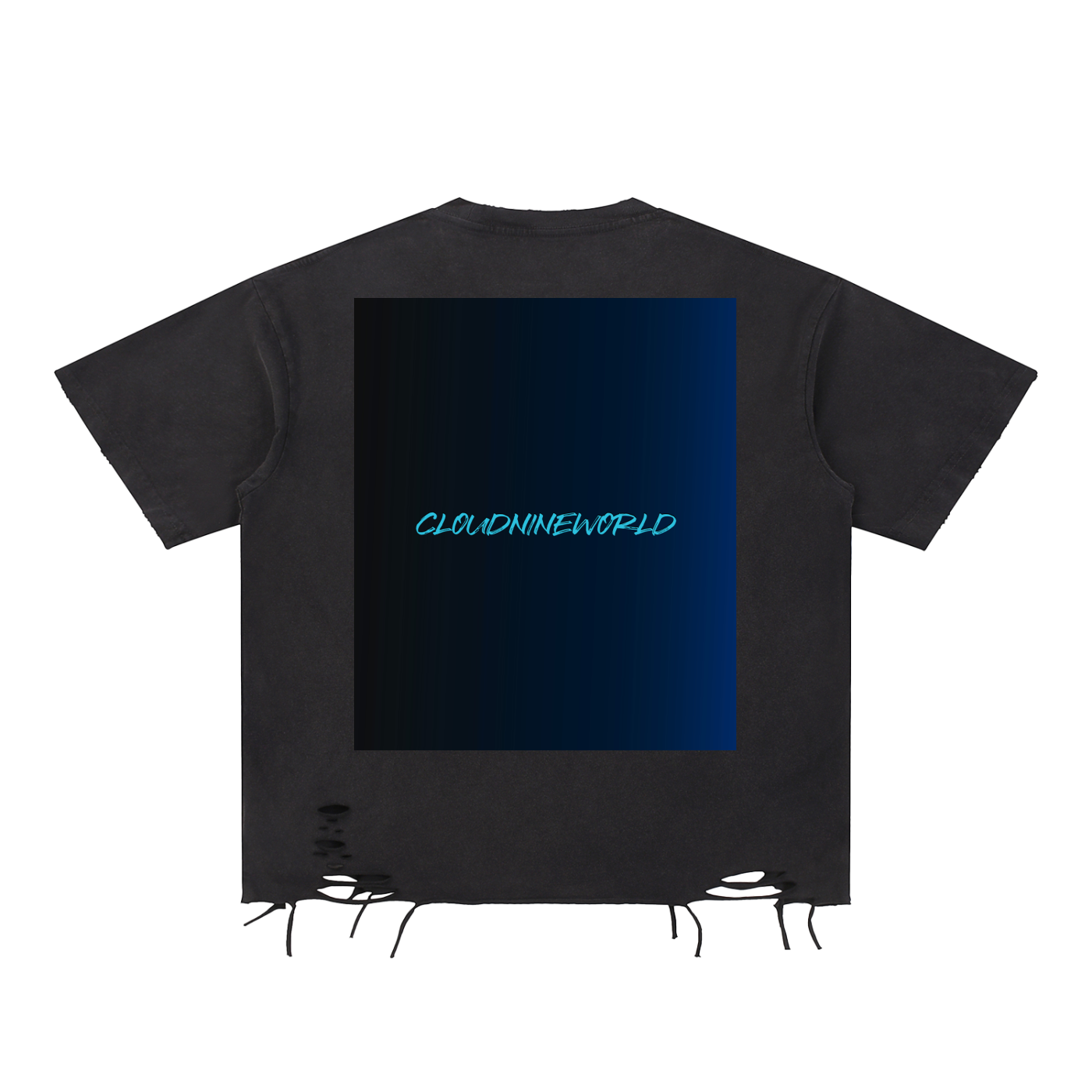 CloudNine Washed T Shirt