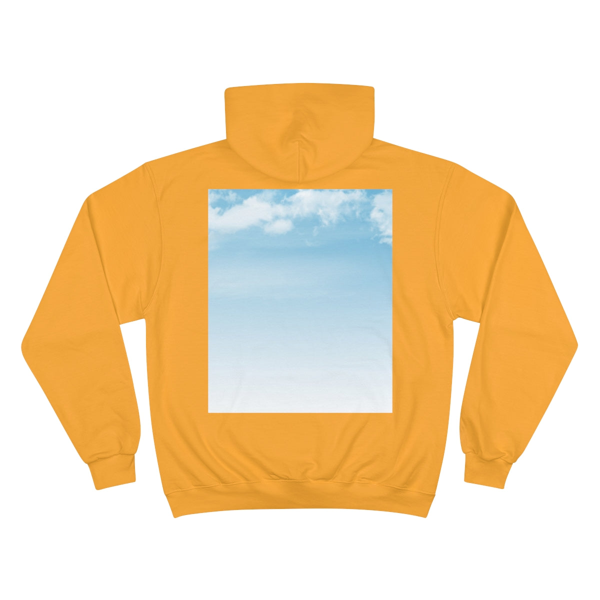 Cloud 9 Men Champion Hoodies